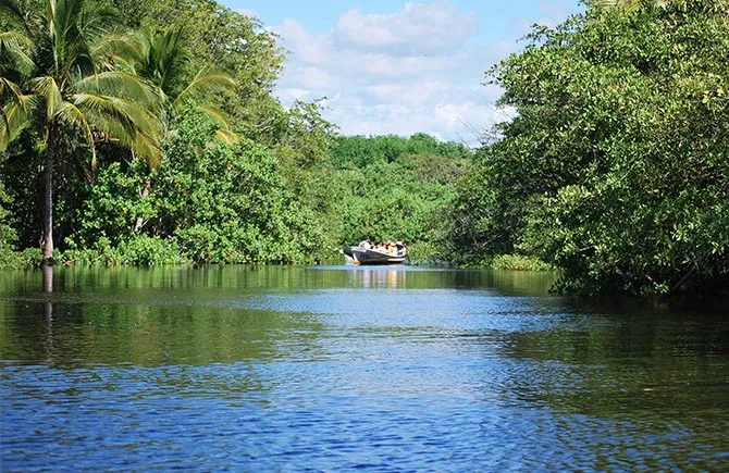 Turtle and crocodile eco-tour at Ventanilla and Mazunte